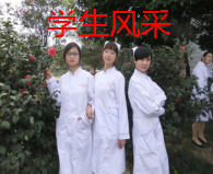 �� �� ҽ ѧ�����顢Ӱ�񡢿�ǻ